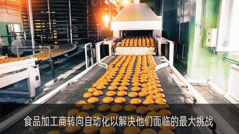 食品小型冻干机：规格尺寸解析与选型要点