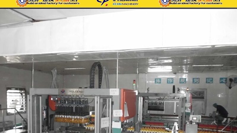食品包装机定制案例：揭秘定制化解决方案的五大关键