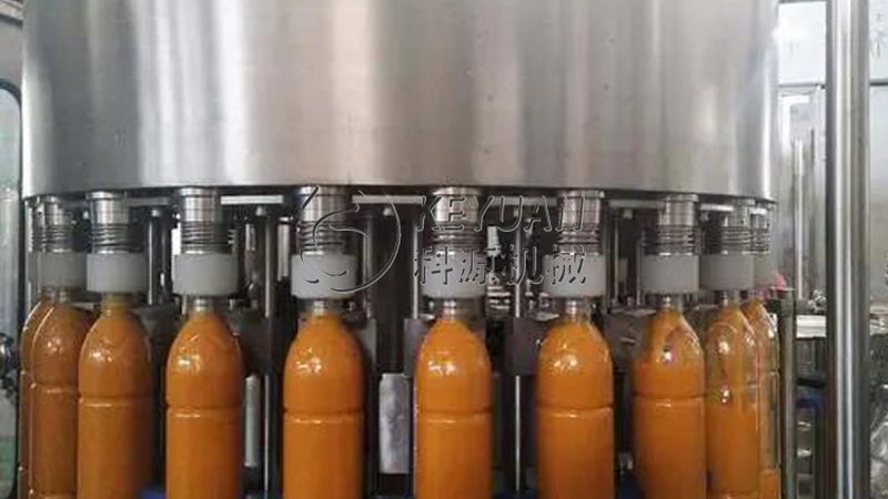 实验室冻干机：揭秘十大品牌背后的技术实力与市场格局