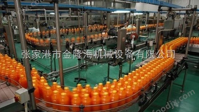 油炸机链条油炸与网带油炸：技术差异与适用场景分析